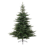 Weihnachtsbaum Grandis Tanne 120cm - 210cm