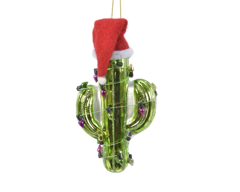 Kaktus mit Santahut
