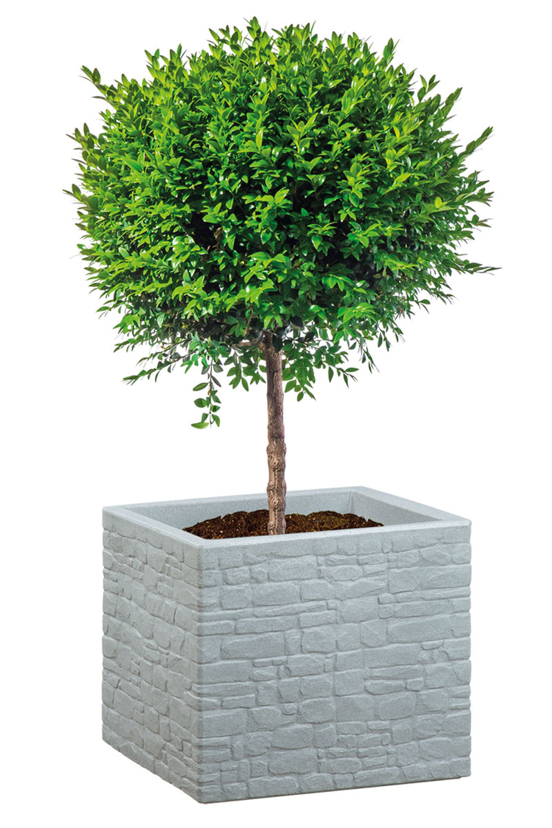 Scheurich Pflanzkübel STONY GREY 246 MURETTO