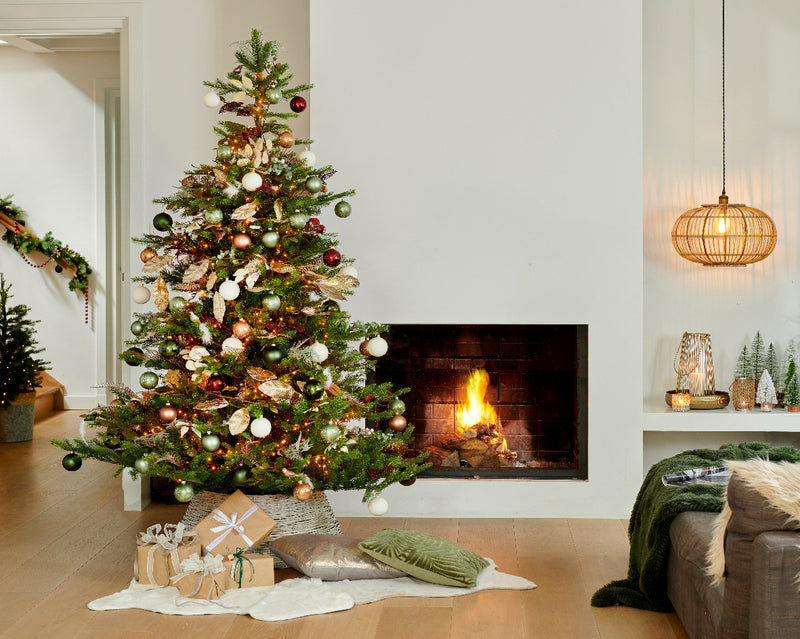 Weihnachtsbaum Grandis Tanne 120cm - 210cm