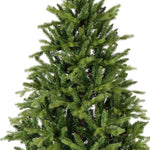 Weihnachtsbaum Allison 120 - 210 cm