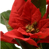 Poinsettia Polyester Weihnachtstern im Topf rot D16cm H27cm