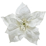 Poinsettia Weihnachtstern mit Klipp 24x7cm weiß