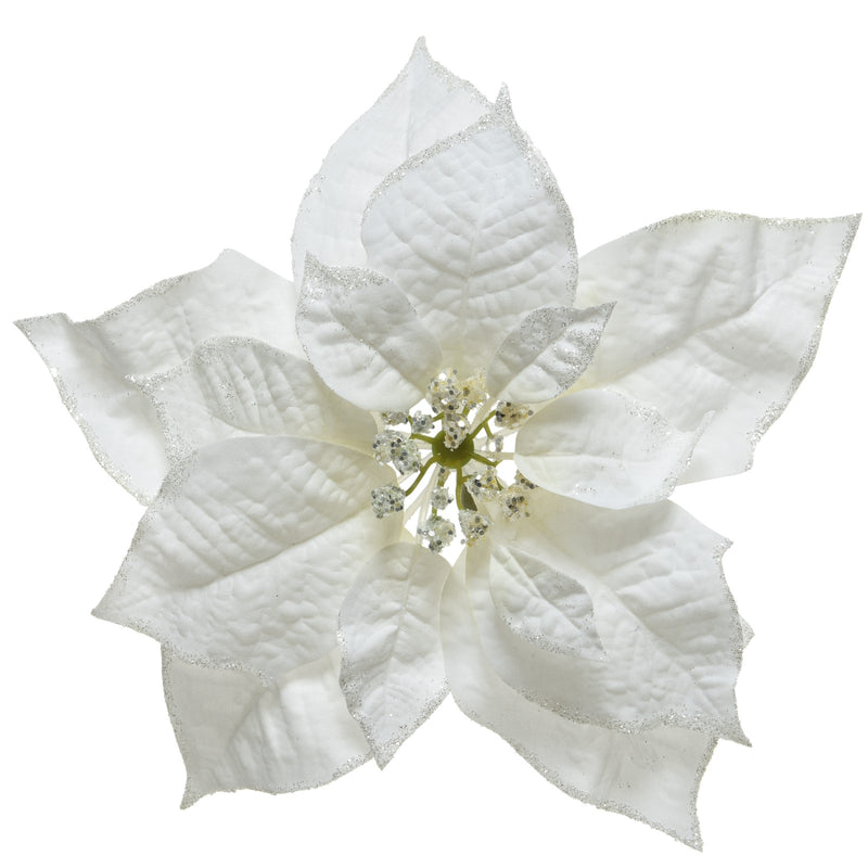 Poinsettia Weihnachtstern mit Klipp 24x7cm weiß