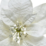 Poinsettia Weihnachtstern mit Klipp 24x7cm weiß