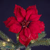 Poinsettia Weihnachtstern mit Klipp 24x7cm rot