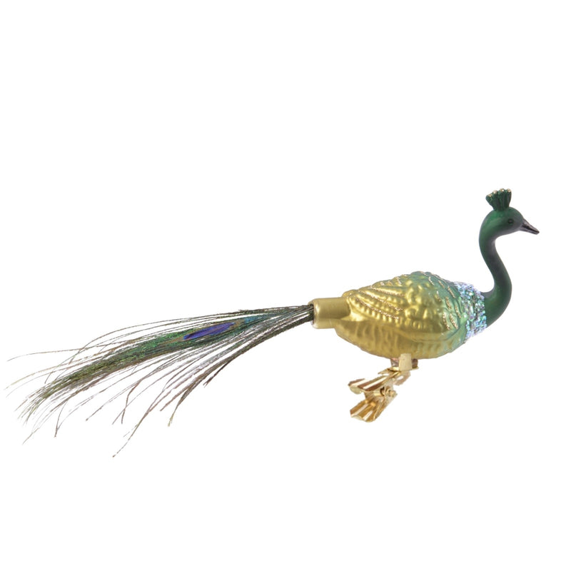 Pfau