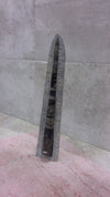 Deko Fossil (B)