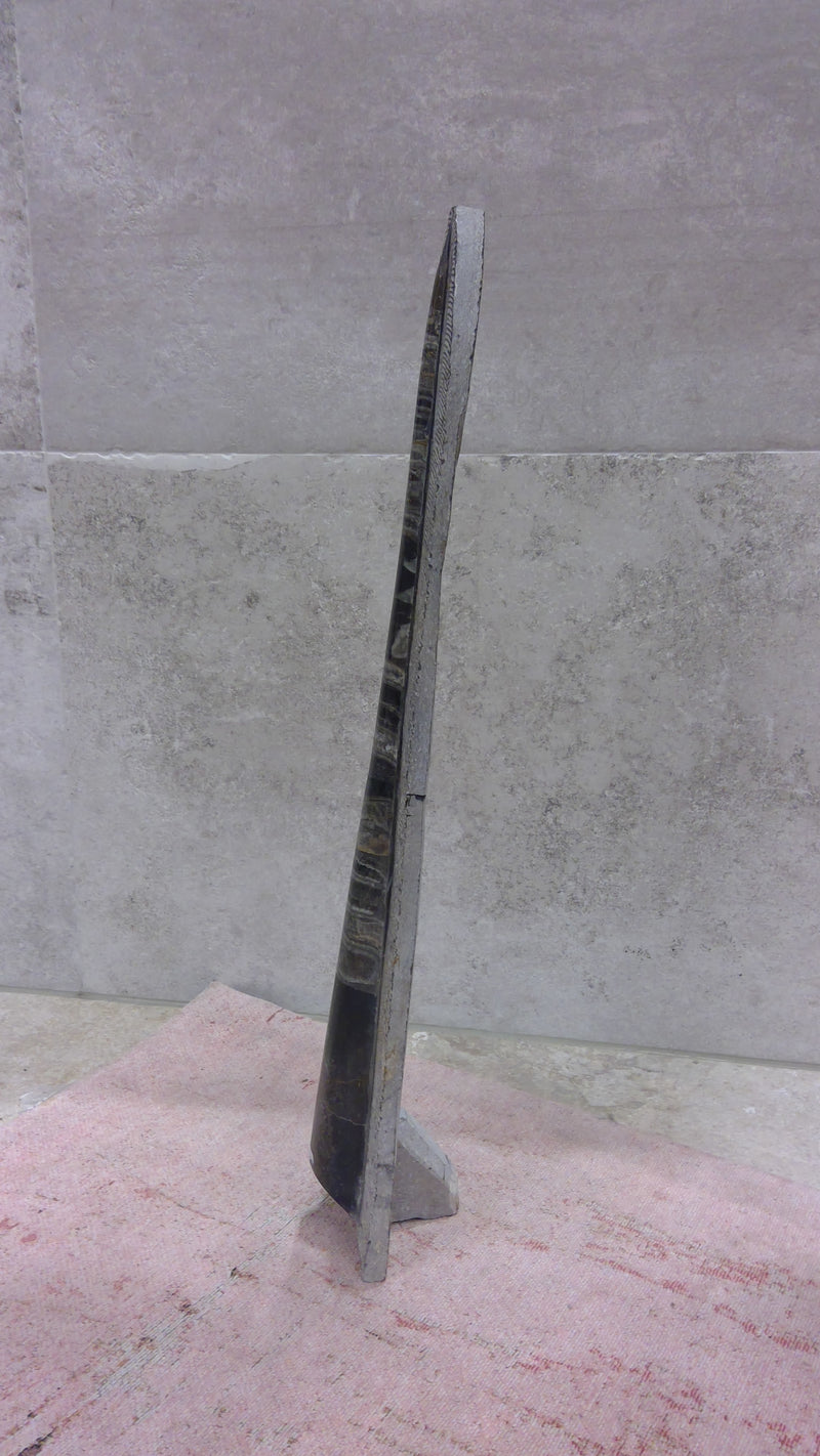 Deko Fossil (B)